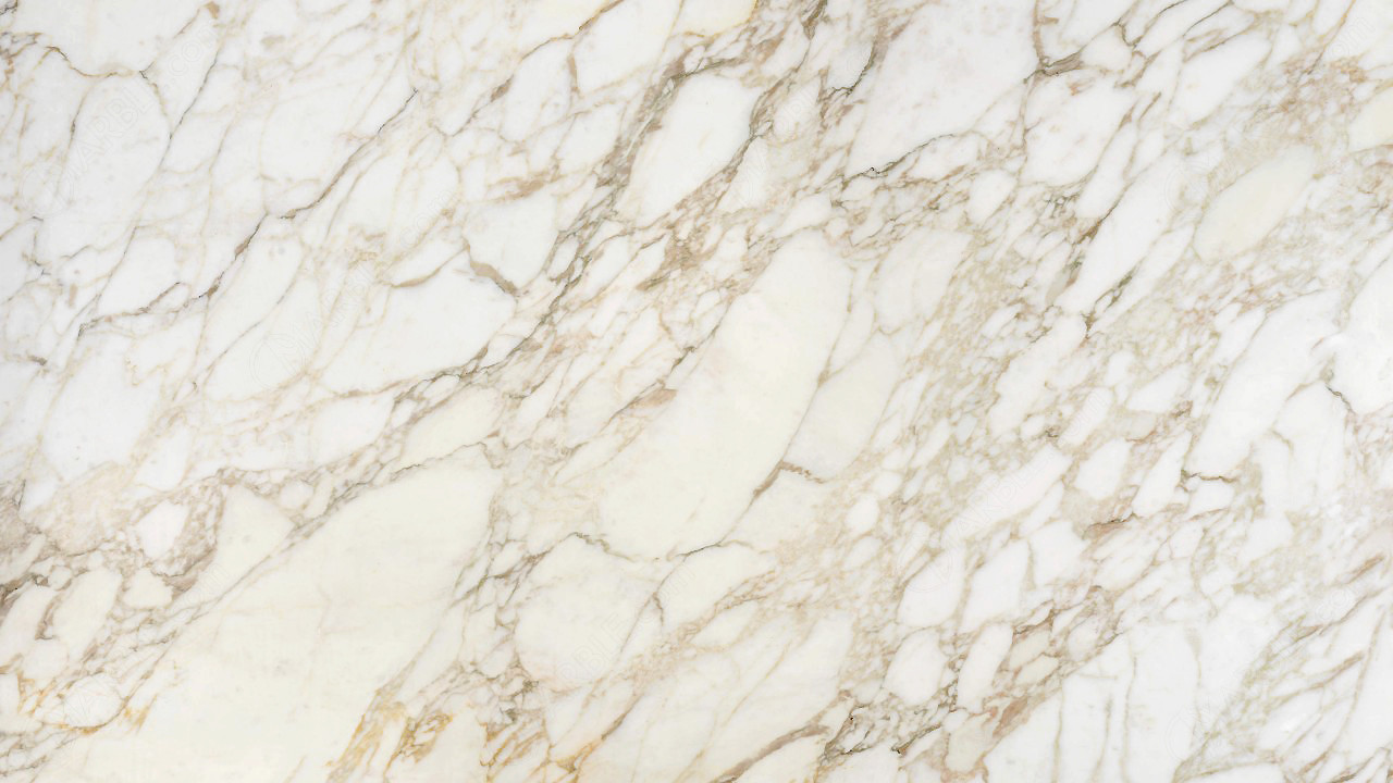 Calacatta Gold Italian marble luxury India